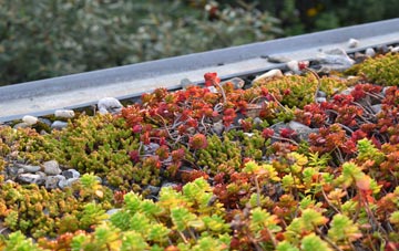 the cost of Aghadowey green roof installation