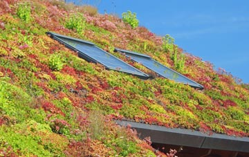Aghadowey living roof systems